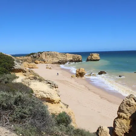 V2 Ponta Grande